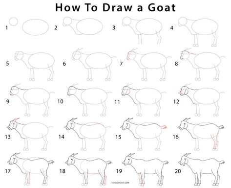 How to Draw a Goat (Step by Step Pictures) | Cool2bKids Goat Step By Step Drawing, How To Draw A Goat Step By Step, How To Draw A Goat, Golden Gate Bridge Drawing, Draw A Goat, How To Draw Lightning, Draw A Cow, Editing Marks, Olaf Drawing