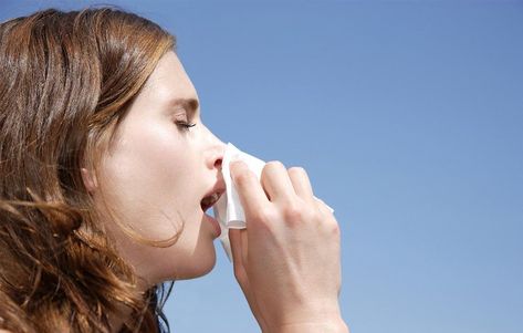 6 Reasons You're Sneezing All The Damn Time Stop Sneezing, Cold Or Allergies, Why Do People, Fit Board Workouts, Women's Health, Bright Light, Bright Lights, Womens Health, Some People