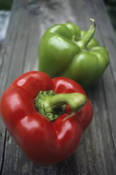 How to Save Bell Pepper Seeds | eHow Bell Pepper Seeds, Harvesting Sunflower Seeds, Growing Bell Peppers, Saving Seeds, Edible Seeds, Vegan Roast, Fall Vegetables, Green Pepper, Seed Saving