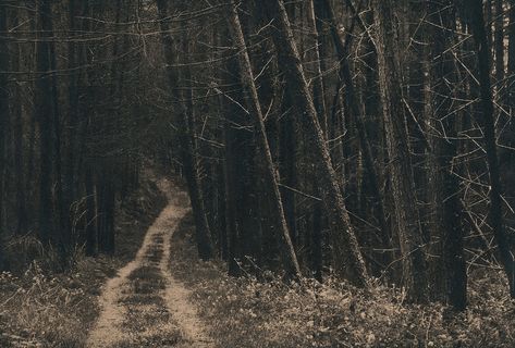 Kumano Kodo, Ireland Aesthetic, Irish Countryside, County Kerry, Location Inspiration, Visit Ireland, Irish History, Strange Places, Gothic Aesthetic