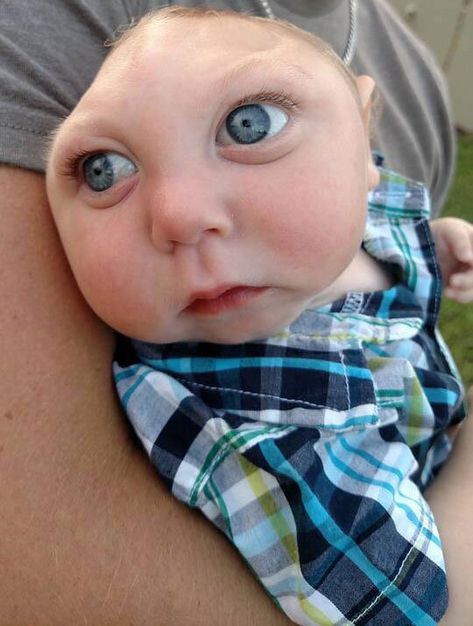 jaxon-strong Welcome Back Meme, Jank Boteko, Blue Meme, People With Blue Eyes, Silly Pics, Proud Of My Son, Boy Genius, Boy Meme, Blue Eyed Baby