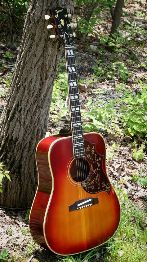 Gibson Hummingbird Guitar, Gibson Acoustic Guitars, Hummingbird Guitar, Gibson Hummingbird, Taylor Guitars Acoustic, Acoustic Guitar Photography, Learn Guitar Chords, Gibson Acoustic, Gibson Electric Guitar