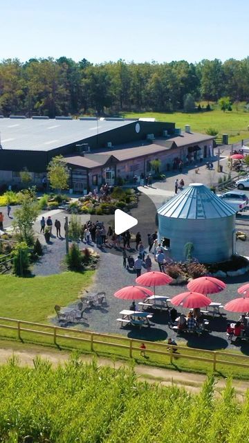 Argos Farm on Instagram: "Blueberry Festival is almost here!🗓️ Join us starting next Friday, June 21st, for blueberry picking, farm fun attractions, specialty treats, and so much more!🫐  🎟️Get your tickets today using the link in our bio!" Blueberry Festival, Blueberry Picking, Farm Fun, Next Friday, June 21, Join Us, Festival, Instagram