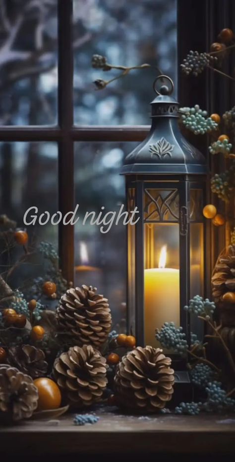 Winter Goodnight, Goodnight Sweetheart, November Images, Photos Of Good Night, New Good Night Images, Beautiful Christmas Scenes, Good Morning Coffee Gif, Night Blessings, Beautiful Good Night Images