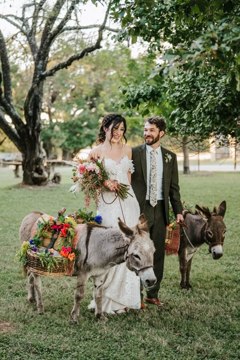 Miniature donkeys/beer burros serving drinks to guests at cocktail hour Mules And Donkeys, Donkeys At Weddings, Beer Burro Wedding, Beer Donkey Wedding, Tequila Donkey, Beer Donkey, Wedding Donkeys, Donkey Wedding, Beer Burro