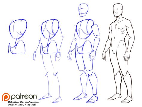 Fullbody step by step 1 | kibbitzer on Patreon Anatomy Tutorial, Human Anatomy Drawing, Body Drawing Tutorial, Human Figure Drawing, Anatomy Sketches, Body Reference Drawing, Body Anatomy, Anatomy Drawing, Figure Drawing Reference