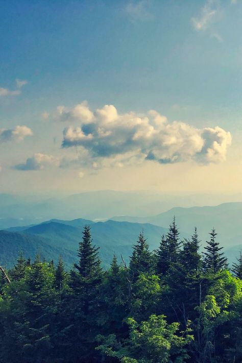 Mountains Pictures, Asheville Hikes, Things To Do In Asheville, Pro Photography, Blue Ridge Mountain, Mountain Pictures, Mountains Hiking, Mountain Photography, Countries To Visit