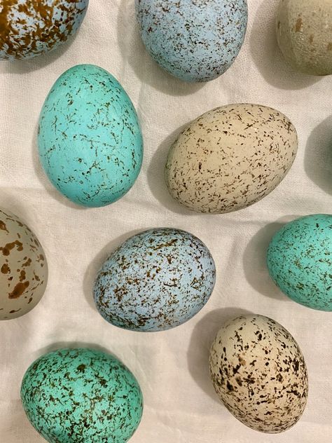 Dino Eggs, Dinosaur Egg, Egg Nest, Egg Dye, Cup Of Rice, Dinosaur Eggs, Baby Dino, Food Dye, Dinosaur Theme