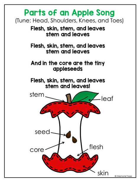 Parts of an Apple Song:: Apple Unit for Kindergarten and First Grade Life Cycle Of A Apple Preschool, 10 Apples On Top Preschool, Apples Can Have Are Chart, Kindergarten Apple Art Projects, Parts Of An Apple Anchor Chart, Apple Cycle Preschool, Apple Kindergarten Unit, Apple Activities For 2nd Grade, 5 Little Apples Song