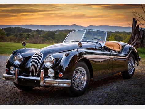 Jaguar Roadster, Jaguar (cars), Jaguar Cars, Auto Retro, Jaguar Models, Jaguar Xk, British Sports Cars, Jaguar Car, Classy Cars