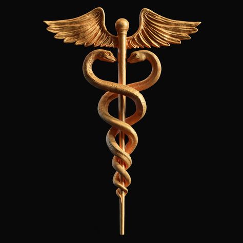 Nursing Tattoo, Doctor Symbol, Doctor Sign, Caduceus Tattoo, Doctor Logo, Dental Nurse, Law Firm Logo Design, Doctor Logos, Medical Sign