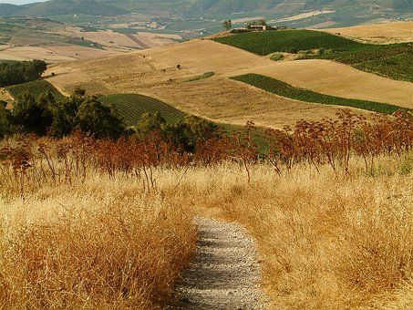 Italy Sicily, Amazing Sunsets, Italy Vacation, Beautiful Sky, Quality Images, Sicily, Free Images, High Quality Images, Country Roads