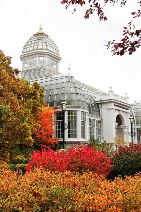 Franklin Park Conservatory in Columbus is beautiful this time of year!  (The John F. Wolfe Palm House) Ohio Adventures, Ohio Vacations, Franklin Park Conservatory, Palm House, Ohio Travel, Ohio River, Ohio Usa, Need A Vacation, Columbus Ohio