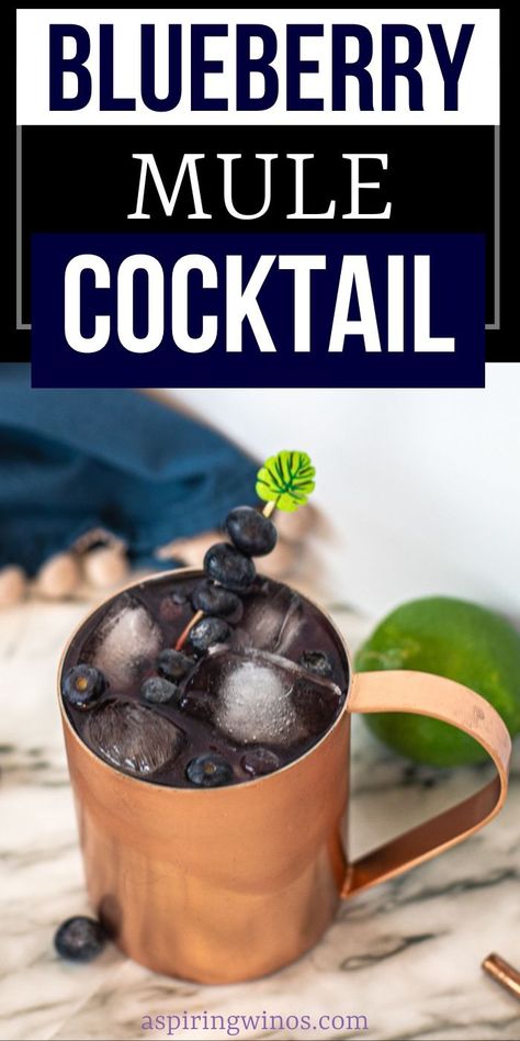 Blueberry Mule Cocktail: A Unique Twist on a Classic | Moscow Mule recipes you need to try | Blueberry cocktail recipe | Copper mug drink recipes | Summer drink recipes for everyone #Blueberry #MoscowMule #BlueberryMuleCocktail #Cocktail #CocktailRecipe #Vodka #VodkaRecipes Copper Mug Drinks, Blueberry Mule, Moscow Mule Recipe Classic, Moscow Mule Recipes, Mule Drink, Blueberry Cocktail, Moscow Mule Recipe, Copper Mug, Mule Cocktail