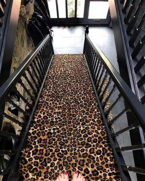 Stylist, Creator & Designer on Instagram: “Well I’ll go to the foot of our stairs 🤣🤣 . > An old North England expression of surprise or amazement ! < . This seemed quite fitting as…” Leopard Print Carpet, Leopard Carpet, North England, Animal Print Carpet, Carpet Staircase, Stair Art, Stair Well, Glamour Decor, Flat Decor