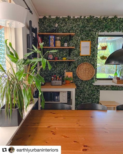 Image may contain: plant, outdoor and indoor Ikea Plant Wall Fejka, Fejka Ikea Ideas, Ikea Fejka Wall Ideas, Fejka Ikea Wall, Ikea Plant Wall, Fejka Plant, Evergreen Wall, Ikea Pax Doors, Pax Hack