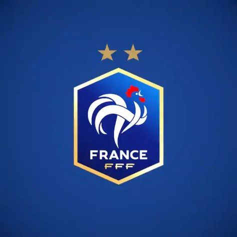 Fff Logo, France Fifa, World Cup Logo, France Football, Blue Football, Dodge Viper, Skylark, World Cup 2018, Football Logo