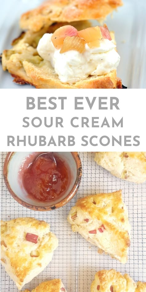 Rhubarb Scones Sour Cream, Rhubarb Scones Buttermilk, Sourdough Rhubarb Scones, Rhubarb Biscotti, Scones With Sour Cream, Rhubarb Scones Recipe, Strawberry Rhubarb Scones, Sour Cream Scones, Garden Breakfast