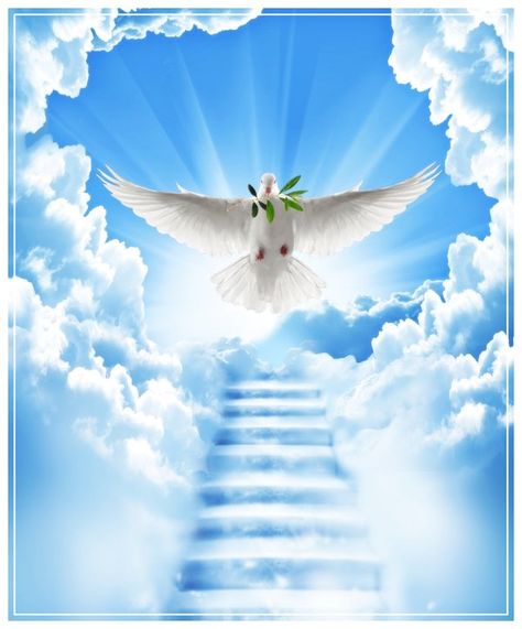 Stairway To Heaven Clipart - Clipart Kid Angel Wings Images, Quotes Sympathy, Wings Images, Tabernacle Of Moses, Words Of Condolence, Precious Jesus, Heaven Pictures, Heaven Is Real, Heaven Wallpaper