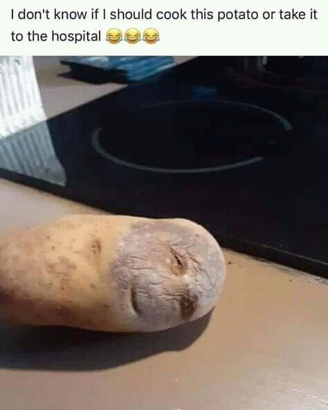 Potato Humor, Potato Meme, A Potato, Kitchen Humor, 웃긴 사진, Crazy Funny Memes, Very Funny Pictures, Meme Funny, Real Funny Jokes