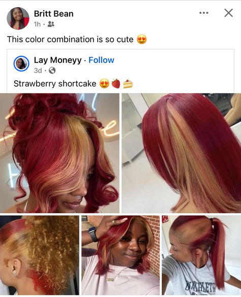 Hair Color Ideas 2 Colors, Black Woman Hair Dye Ideas, Fall Colors To Dye Your Hair Black Women, Colors To Dye Hair Black Women, Dyed Hair Black Women 4c, Skunk Hair Ideas, Peanut Butter And Jelly Hair Color, Locs With Colored Tips, Burgundy And Blonde Hair Black Women