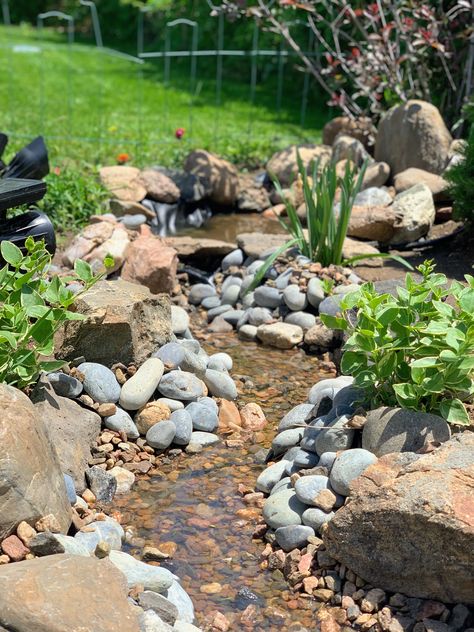 Diy Creek, Pond Ideas, Dream Yard, Creek Bed, Dry Creek, Yard Ideas, Ponds, Small Garden, Water Features