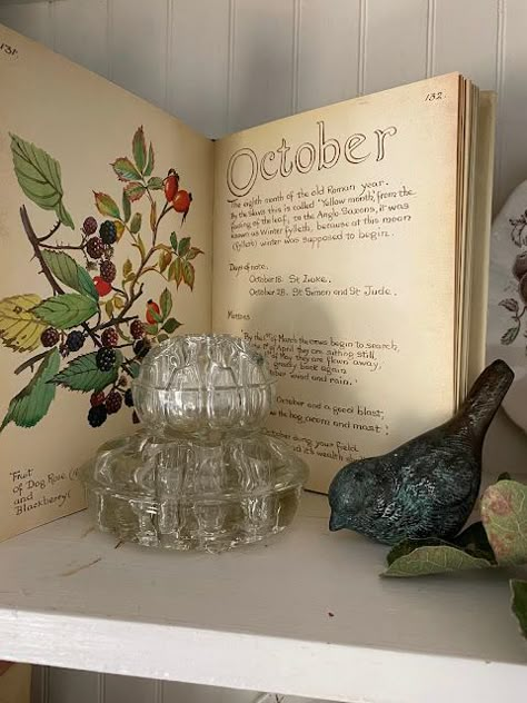 Vintage Fall Centerpieces, Vintage Fall Vignettes, Fall Vinyettes Display, Bookshelf Display Ideas, Vignettes Styling Display Ideas, Shelf Vignettes, Fall Shelf Decor Ideas, Decorating With Vintage Items, Oil Lamp Decor