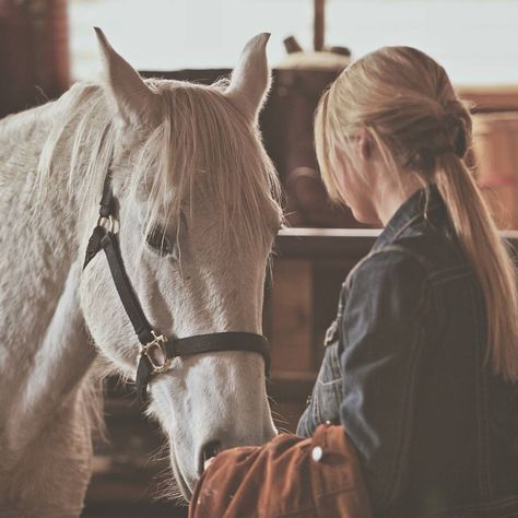 6,574 Likes, 40 Comments - Georgie Fleming-Morris (@georgieflemingmorris) on Instagram: “#HorsesofHeartland Amy says this picture was taken on one of the hardest days of her life. It's bad…” Heartland Aesthetic, Heartland Horses, Secret Dating, Heartland Amy, Military Romance, Heartland Ranch, Cowgirl Pictures, Ty And Amy, Heartland Tv Show