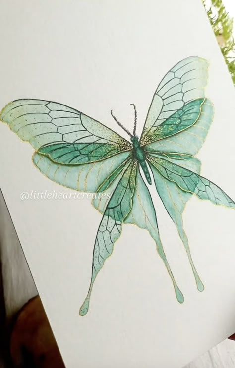 Drawings With Butterflies, Butterfly Drawing Watercolors, Dragonfly Drawing Art, Monarch Butterfly Watercolor, Watercolor Moth, Butterfly Watercolor Painting, Painting Clipart, Watercolour Butterfly, Butterfly Art Drawing