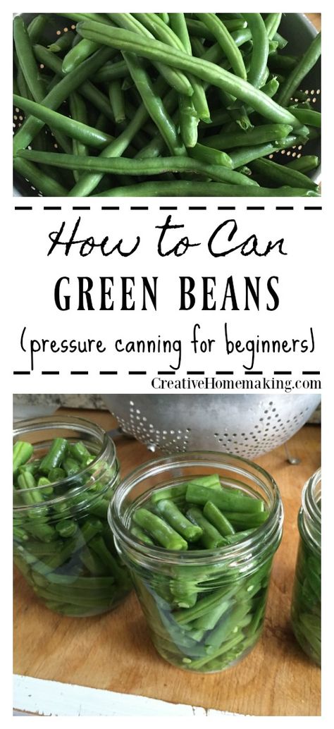 Canning green beans. How to can green beans from the garden. Step by step pressure canning for beginners. Green Beans From The Garden, Pressure Canning Green Beans, Preserving Green Beans, Canning Green Beans, Canning For Beginners, Canning Rack, Pressure Canning Recipes, Canning Ideas, Coconut Dessert