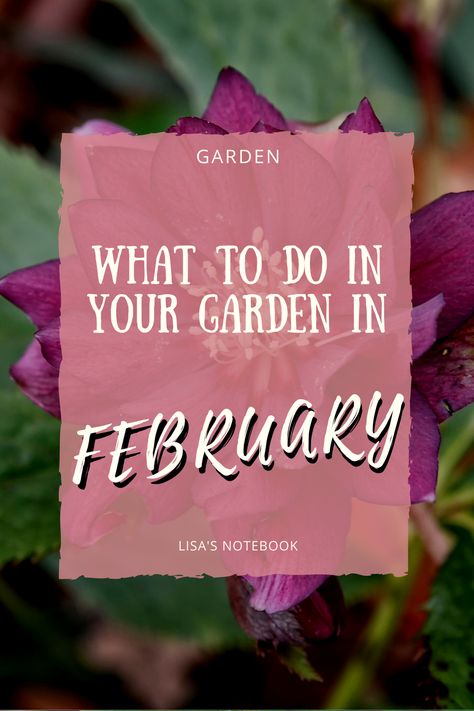 February Gardening, Gardening Calendar, Gooseberry Bush, Yellow Crocus, Bug Hotel, Garden Diary, Garden Calendar, Garden Posts, Summer Harvest