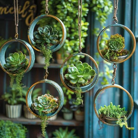 Hanging Terrarium Ideas, Succulent Chandelier, Cactus Arrangement, Chandelier Ideas, Summer Market, Hanging Terrarium, Succulent Garden Design, Planting Pots, Backyard Greenhouse