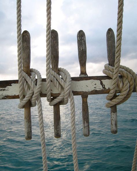 ⚓♡salt air⊰⛵      .“The sea always filled her with longing, though for what she was never sure.” ― Cornelia Funke Ship Rope, Sailing Rope, Navi A Vela, Model Ship Building, Nautical Knots, Sea Captain, Salt Air, Old Boats, Tall Ships