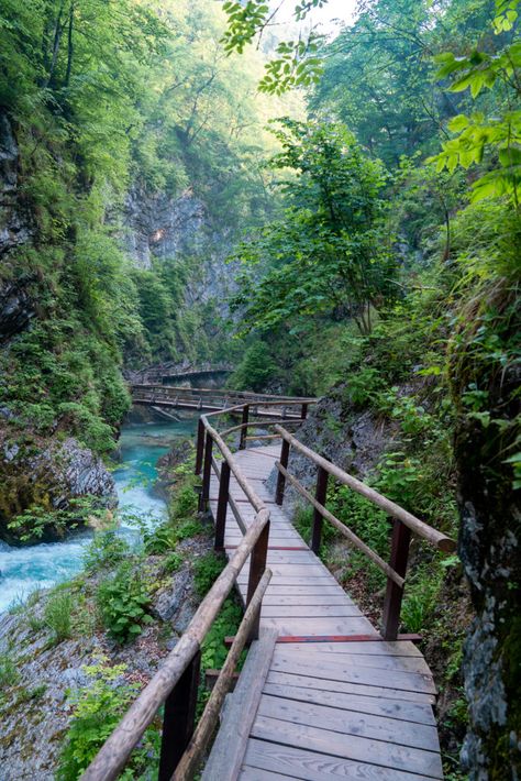 The Best Kept Secrets of Lake Bled Vintgar Gorge Slovenia, Lake Bled Slovenia, Lake Activities, Bled Slovenia, Slovenia Travel, World Of Wanderlust, Lake Bled, Voyage Europe, Croatia Travel