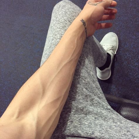 Twitter: @Papi_Flacko's arm Veiny Arms Women, Arm Veins, Veiny Arms, Veiny Hands, Hand Veins, Krusty Krab, Mr Krabs, Hot Hands, Tattoo Inspiration Men