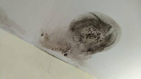 Does The Ceiling Need To Be Replaced After Water Damage? How To Repair Ceiling Water Damage, Water Damaged Ceiling, Repair Ceilings, Living Dining Room Ideas, Drywall Ceiling, Water Damage Repair, Rv Water, Wet Spot, Bathroom Ceiling