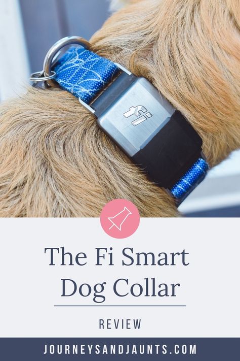 Review of the Fi Smart Dog Collar- how this gadget changed my life - Journeys and Jaunts App Map, Dog Tracker, Pet Tracker, Lab Puppy, Smart Dog, Losing A Dog, Dog Boarding, Dog Quotes, Change My Life