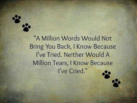 All dogs go to heaven. <3 Quotes Heaven, Lou Dog, Dogs Quotes, Pet Quotes, Dog Poems, Pet Remembrance, Paw Prints, Pet Loss, Animal Quotes