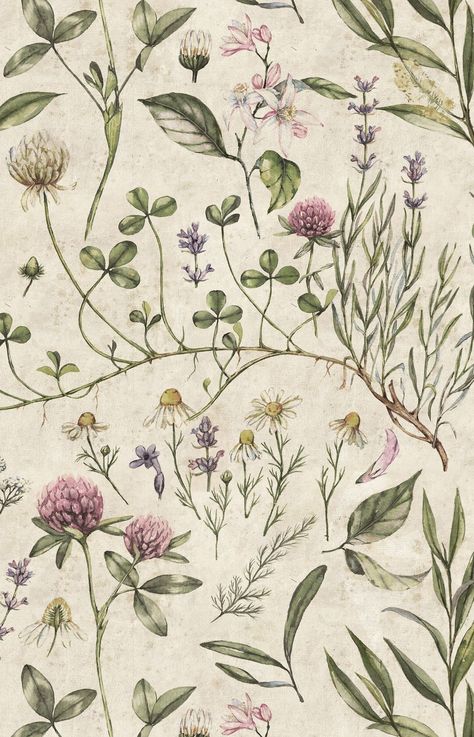 Illustration Botanique Vintage, Illustration Wallpaper, Illustration Botanique, Botanical Illustration Vintage, Botanical Wallpaper, Illustration Vintage, Vintage Botanical, Wallpapers Vintage, Vintage Wallpaper