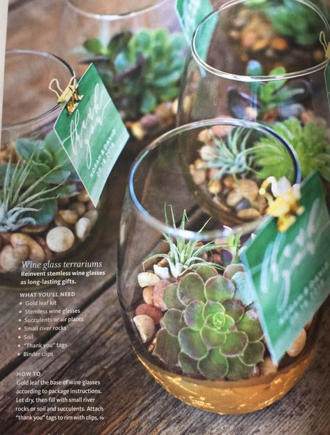 Wine Glass terrariums for guests Wine Glass Terrarium, Small Terrarium, Succulent Bowls, Winery Tasting Room, Dream Tea, Inside Garden, Teen Programs, Weddings Gifts, Wine Glass Crafts