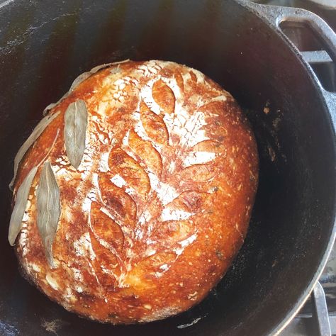 Amish Starter, Rye Sourdough Bread, Artesian Bread, Recipe Butternut Squash, Butternut Squash And Sage, Irish Foods, Squash Bread, Discard Recipe, Starter Recipes