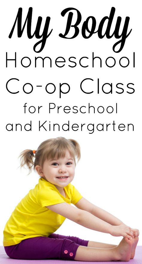 Homeschool Co-op Class Ideas- Over 50 Classes Your Co-op Needs homeschool co-op class ideas My Body Preschool, Homeschool Coop, Body Preschool, Homeschooling Preschool, Health Class, Toddler School, Gymnastics Photos, Kindergarten Science, The Body Book