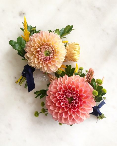 Dahlia Boutonnieres Dahlia Corsage Wedding, Zinnia Boutonniere, Bridal Flowers Dahlia, Dahlia Boutonniere, Dahlia Corsage, Dahlia Boutonniere Wedding, Dahlia Boutineer, Small Dahlia Bouquet, Single Dahlia Bouquet