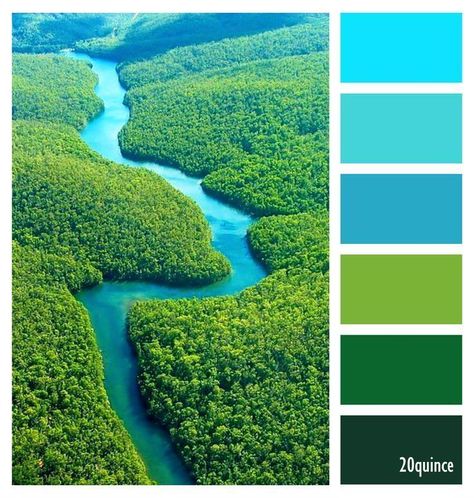 Pin by Anne-Marie Bazin on Colores 20quince | Green colour palette, Color schemes colour palettes, Color palette Colors From Nature, Green To Blue Color Palette, Tropical Green Color Palette, Jungle Color Scheme, Green And Turquoise Color Palette, Green Nature Color Palette, Rainforest Color Palette, Male Color Palette, Vibrant Green Color Palette