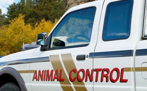 Animal control is a vital service that helps protect both people and animals in our communities. But when is it ... Read more The post When to Call Animal Control on a Neighbor? appeared first on Little House Lovely Home. Animal Control Power Aesthetic, Animal Control Costume, Fam Birth Control, Animal Control Officer, Aggressive Animals, People And Animals, Muscle Atrophy, Lovely Home, Animal Control