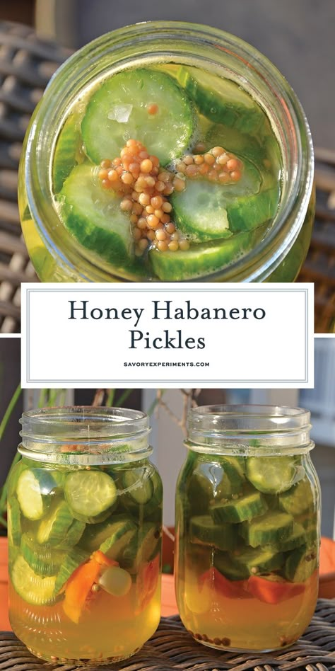 Habanero Pickles, Habanero Recipes, Freezing Recipes, Honey Snacks, Pickle Recipes Homemade, Canning Pickles, Home Canning Recipes, Canning Vegetables, Refrigerator Pickles