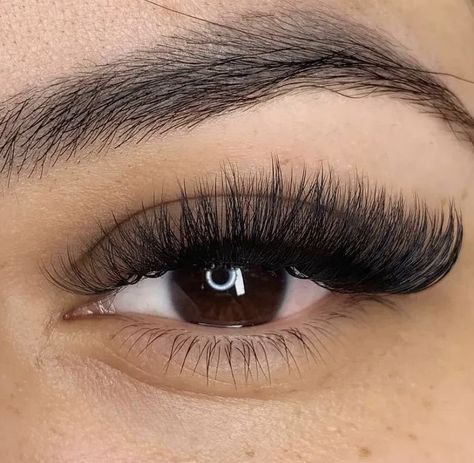 Long Cateye Eyelashes Extensions, Eyelash Extensions Volume Cat Eye, Cateye Eyelashes Extensions Volume, Volume Cateye Extensions, Cat Eye Russian Lashes, Volume Lash Extensions Styles Cat Eye, Cateye Volume Eyelash Extensions, Russian Volume Lashes Cat Eye, Eyelash Extensions Styles Volume