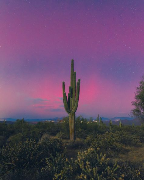 a little arizona borealis from last night 🫶🏻🌵 I can’t believe I’ve seen this so close to home twice this year. I was so close to the city, yet it was vivid and faintly visible to the eye. Close To Home, What Next, Solar Eclipse, The Eye, Sunrise Sunset, Last Night, Aurora, The City, This Year