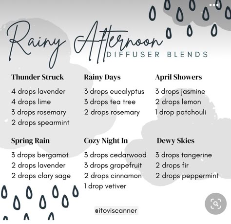 Fresh Rain Essential Oil Blend, Rainy Night Diffuser Blend, Rainy Day Blend Diffuser, Rainy Day Diffuser Blends Young Living, Rainy Day Essential Oils Diffuser Blends, Rainy Day Diffuser Blend, Rainy Day Diffuser Blends, Nighttime Diffuser Blends, Rain Essential Oil Blend