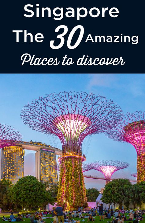 30 Best Things to Do in Singapore | Attractions + Tips | 2022 Singapore Tourist Attractions, Henderson Waves, Singapore Things To Do, Singapore Attractions, Things To Do In Singapore, Singapore River, Singapore Zoo, Singapore Hotels, Singapore Fashion